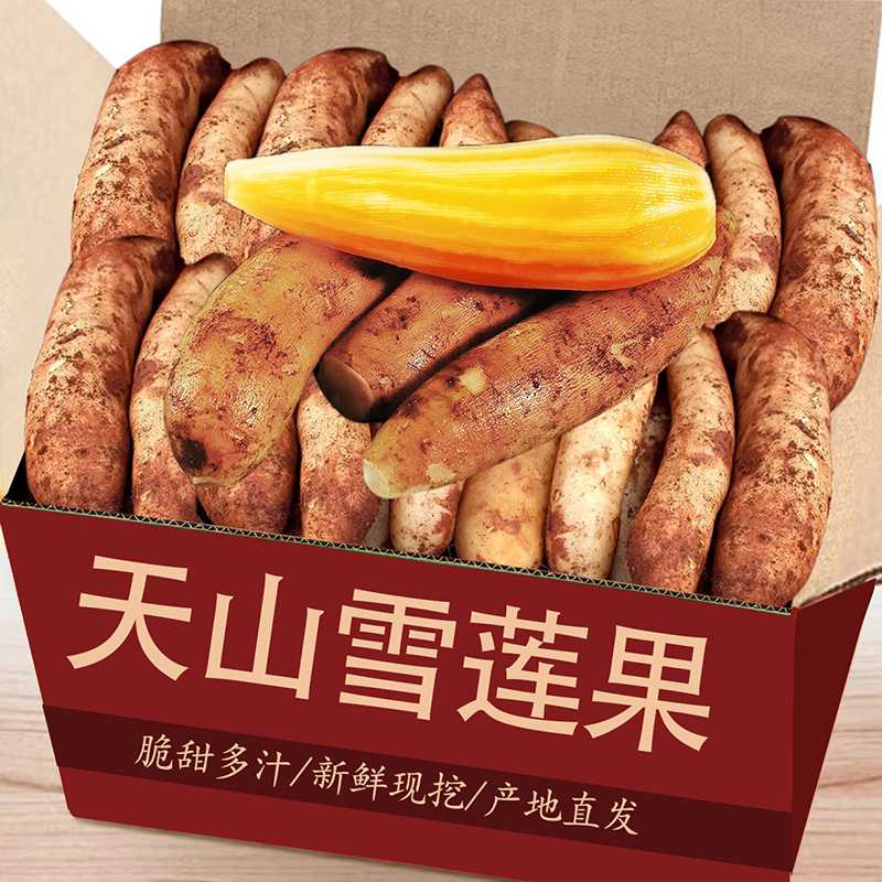 天山雪莲果新鲜现挖脆甜多汁