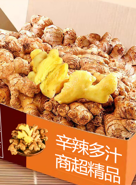 正宗云南新鲜小黄姜生姜干老姜嫩姜土姜子姜现挖高山沙姜5斤包邮