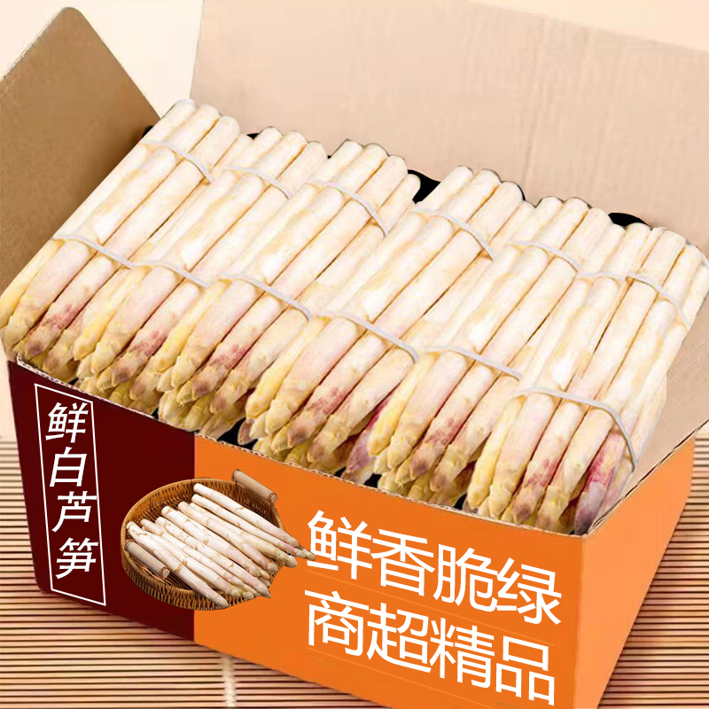 2025新鮮蘆筍白蘆筍5斤鮮嫩蘆筍當(dāng)季蔬菜蘆筍脆嫩蘆筍新鮮蘆筍現(xiàn)3
