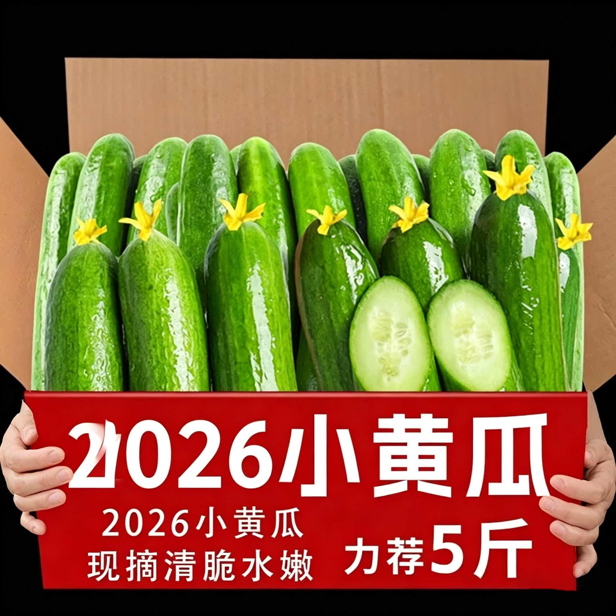 黄瓜新鲜小黄瓜水果小青瓜荷兰蔬菜农家10山东旱生吃5斤现摘现发
