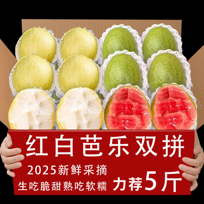 芭乐双拼5斤整箱包邮力荐