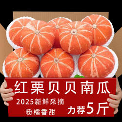 正宗山东红皮板栗味南瓜黄圆南瓜金瓜金丝南瓜南瓜新鲜贝贝小南瓜