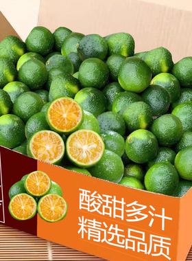 海南新鲜小金桔一级水果青金桔柠檬小青柑5斤奶茶搭档橘子整箱5