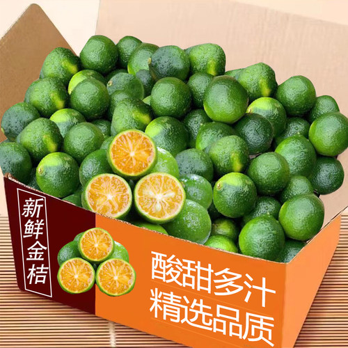 海南小金桔整箱包邮力荐