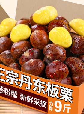 2025新鲜丹东板栗生栗子当季嫩野生毛板栗农家板栗非锥栗小油栗子