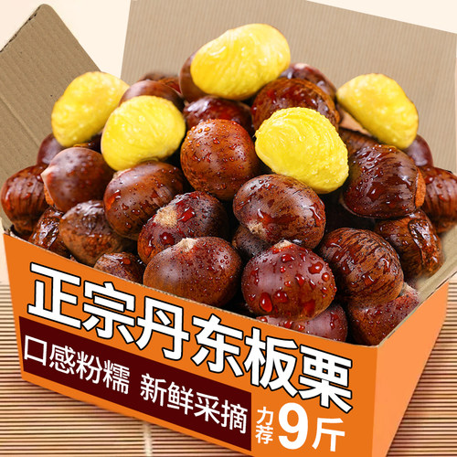 丹东大板栗力荐5斤包邮