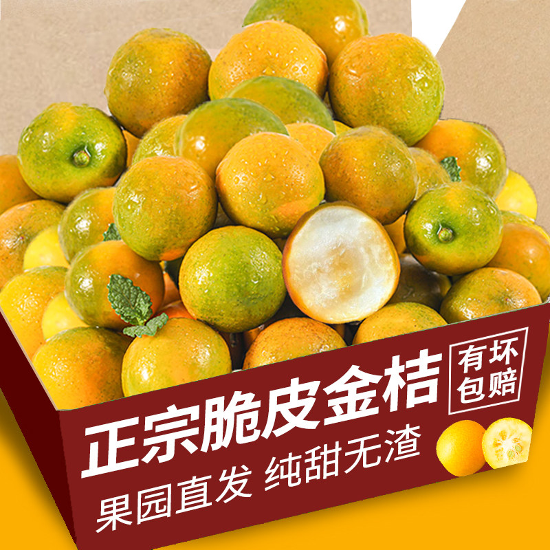 2025广西脆皮金桔力荐9斤包邮