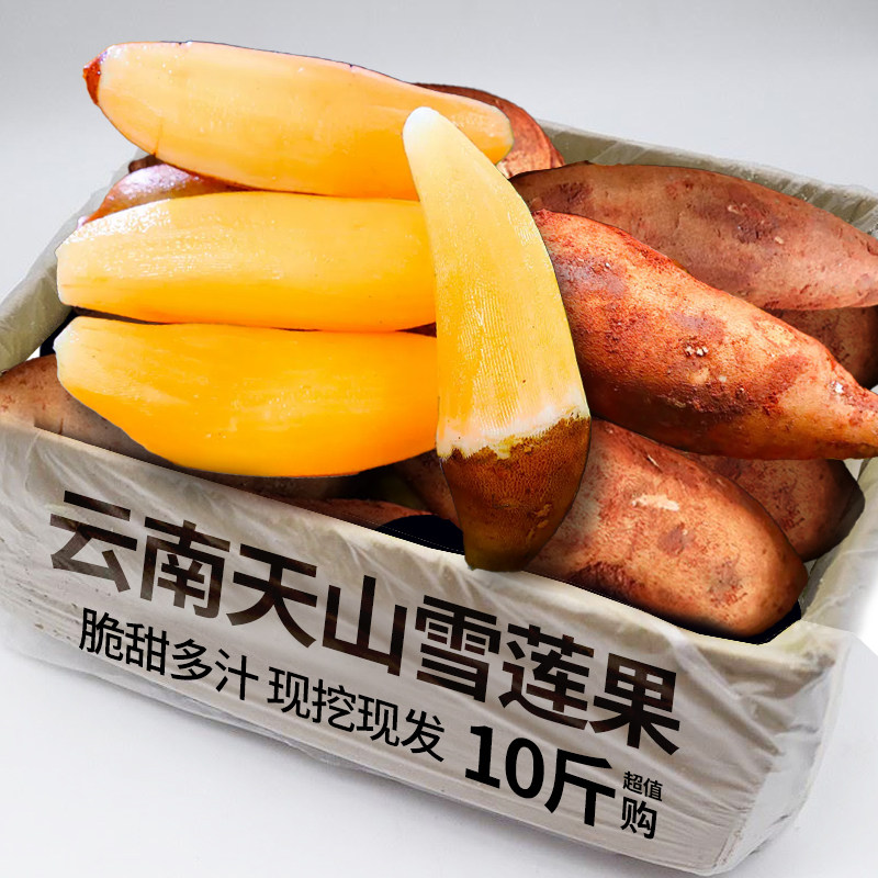 云南天山雪莲果新鲜水果应当季云南孕妇多汁雪连果白心特整箱包邮