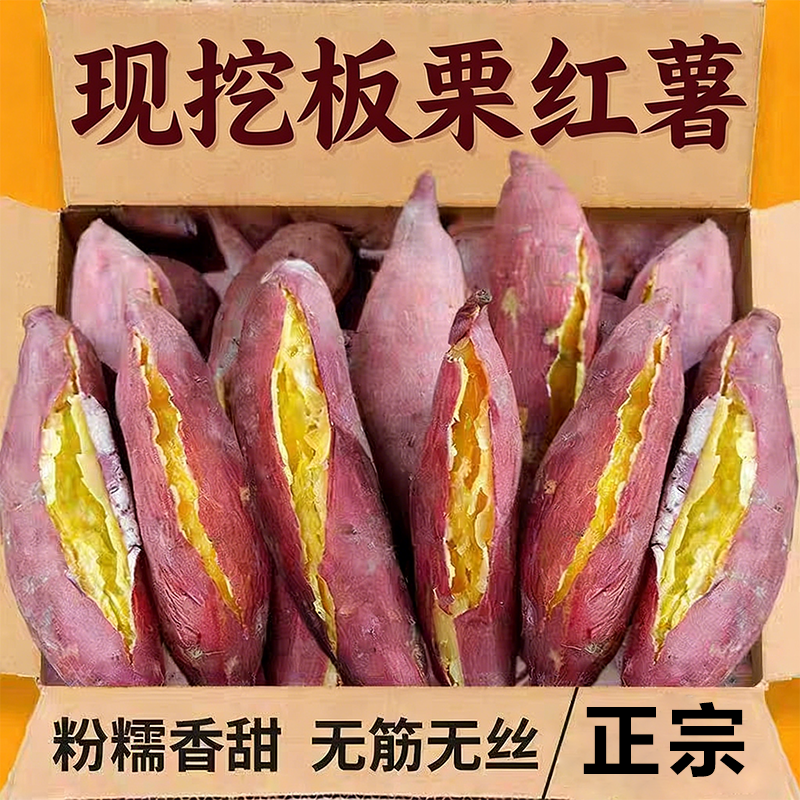 现挖板栗红薯新鲜沙地蜜薯黄心地瓜烟薯农家自种现挖山芋包邮