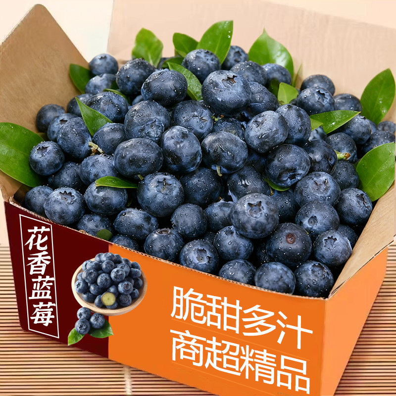 当季精选新鲜蓝莓当季水果蓝莓鲜果整箱香甜蓝莓应季现摘大果整箱