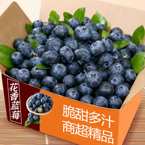 当季精选新鲜蓝莓当季水果蓝莓鲜果整箱香甜蓝莓应季现摘大果整箱