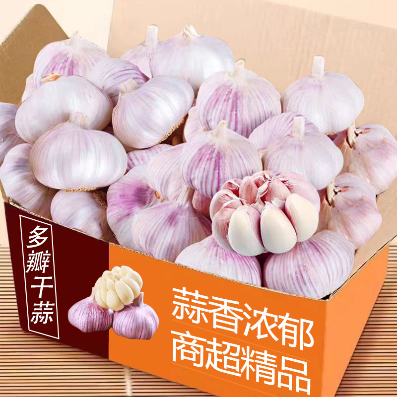 正宗河南当季紫皮干大蒜今年新鲜新晒干大蒜糖醋多瓣腊八蒜头整箱,水产肉类/新鲜蔬果/熟食,大蒜,淘宝优惠券,粉丝福利购,淘宝优惠卷