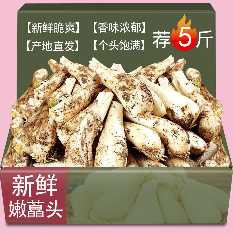 现挖新鲜荞头整箱包邮