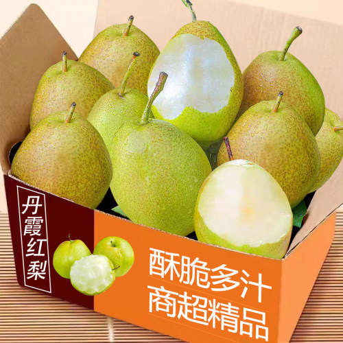 红香酥梨5斤整箱包邮力荐