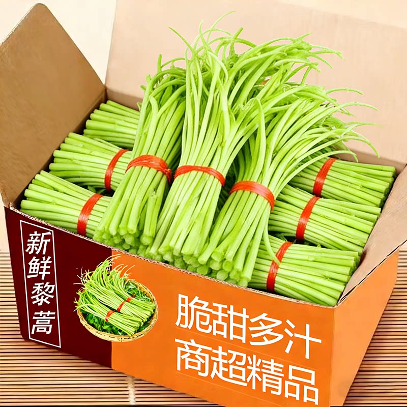 新鲜芦蒿当季蔬菜净菜去叶农家黎蒿篱蒿藜蒿嫩泥蒿蓠蒿漓篙离蒿苔