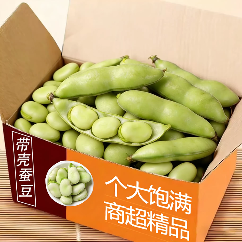 新鲜现摘蚕豆带壳胡豆农家自种当季蔬菜嫩生罗汉豆米带皮青豆