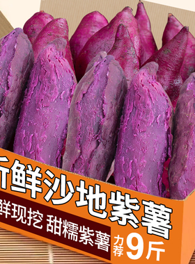 新鲜紫薯板栗红薯10斤番薯地瓜蜜薯糖心山芋烟薯香薯蔬菜农家自种