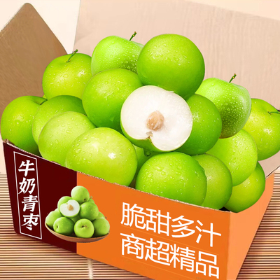 牛奶大青枣当季现发新鲜脆甜