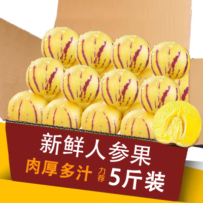 云南人参果力荐5斤整箱包邮