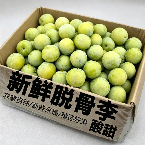 新鲜青脆脱骨李酸甜爽口