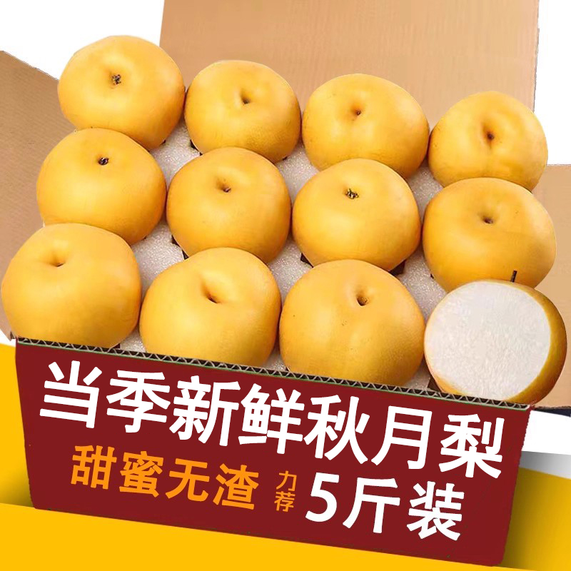 秋月梨新鲜水果5斤整箱包邮