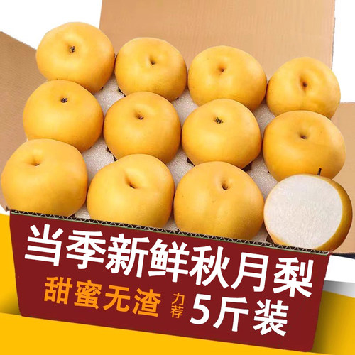 秋月梨新鲜水果5斤整箱包邮