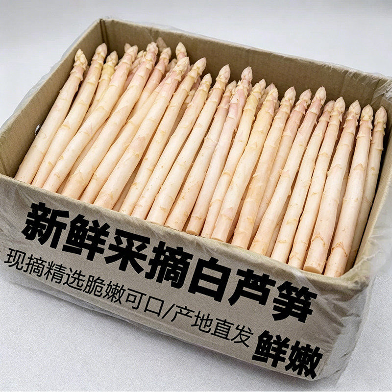 白芦笋新鲜嫩当季上市自家种植