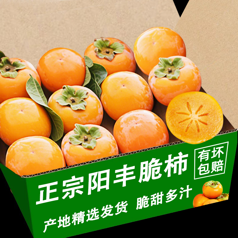 巧克力脆柿子新鲜水果脆甜硬
