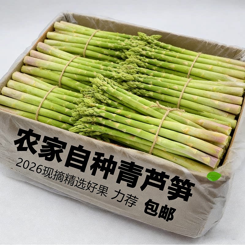 农家鲜嫩芦笋蔬菜芦笋去除春笋