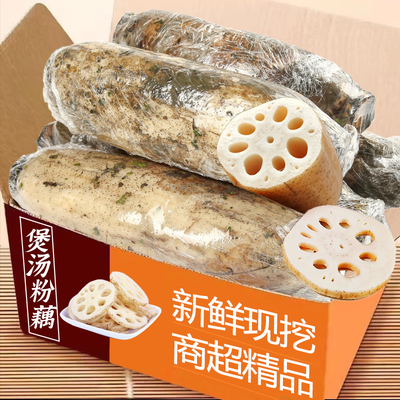 洪湖粉莲藕煲汤粉糯香鲜