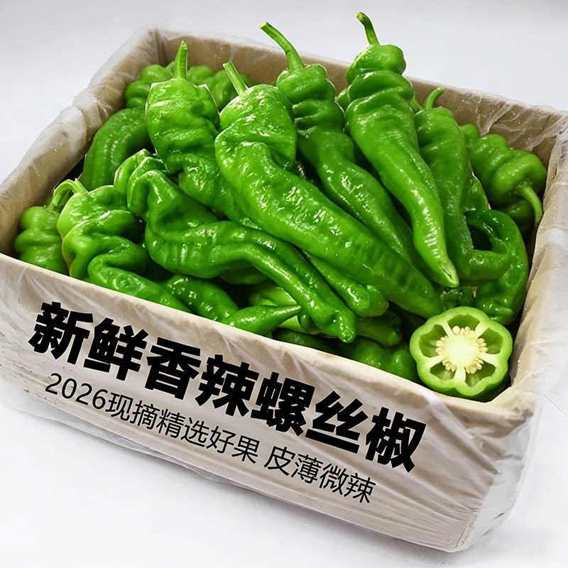 薄皮螺丝椒新鲜香辣皱皮辣椒新鲜农家自种香辣薄皮螺旋椒5斤包邮