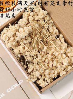 满天星干花永生花diy材料包插花装饰花束跨境散装满天星情人水晶