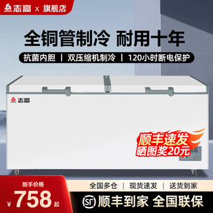 志高铜管无霜冰柜商用大容量全冷冻冷藏柜一级节能速冻卧式冷柜