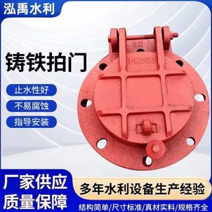 拍铸铁止回阀 00拍30销20门N1D防水污水厂倒灌门50 家库管道门直