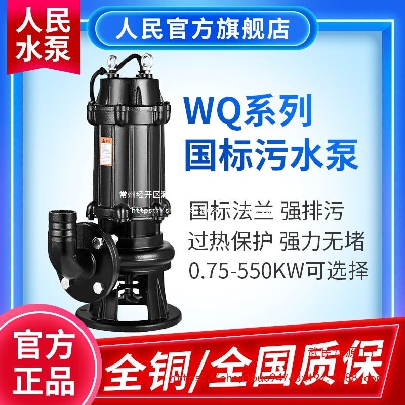 人民国标污水泵380v三相电上海国标潜水泵标准抽水水泵排污泵神器图片