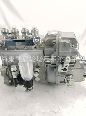 喷油泵101402-7871  8972633951和101608-1730-1731和105404-6200