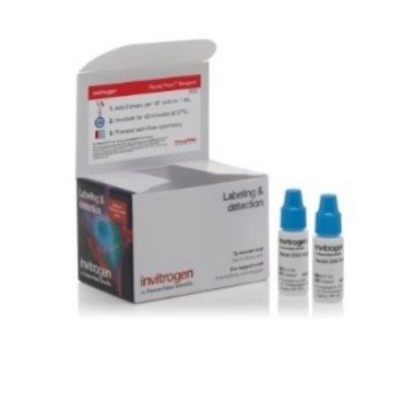 Invitrogen Hoechst 33342 Ready Flow? 即用型染料 R37165 促销