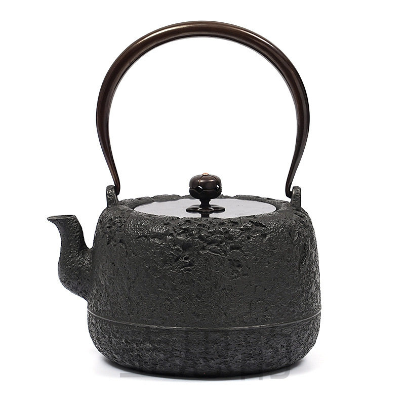 玄逸堂铸铁铁壶纯手工无涂层日式铸铁壶老铁壶道安岩肌烧水铁茶壶