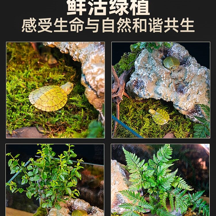 乌龟饲养缸生态造景家用玻璃缸小型别墅水陆两用养乌龟缸鱼缸