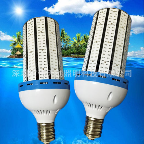 300W250W200W150W120W100W80W60W40W30W纯铝走廊庭院景观灯玉米灯