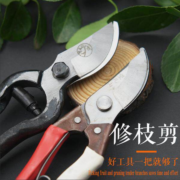 辽宁望儿山老式铁匠锻打黑金刚剪刀果树修枝园艺花剪古董剪刀