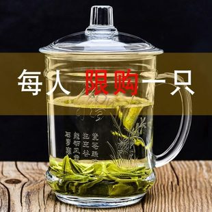 钢化玻璃杯 耐高温手茶杯带把防摔水杯家用个人杯子专用泡茶杯套装