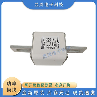 全新保险丝熔断器170M5667170M5