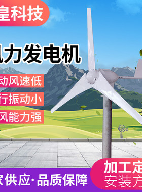 盛皇科技小型水平轴SH-A型500W600W24V48风力发电机 家用牧场