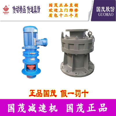 江苏常州国茂国茂减速机股份有限公司立式摆线XLEY74-4189-0.18