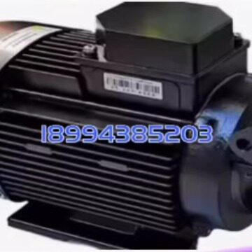 原装LEZQ PUMP模温机专用高温油泵 LQ-15A LQ-15C LQ-021 LQ-021S