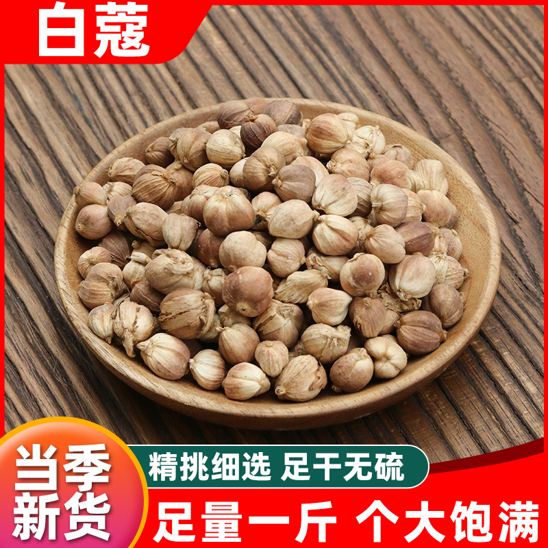 白蔻500g白蔻仁白豆蔻火锅烧菜卤肉白扣香料调料大全大料足干打粉