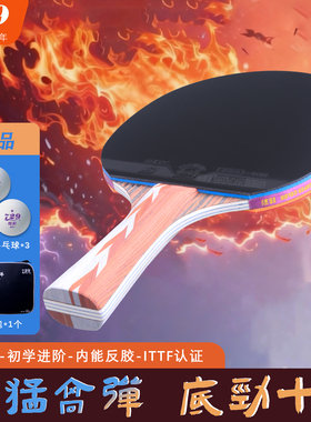 十大名牌729乒乓球拍五星六星一对单拍横拍专业级弧圈快攻型正品