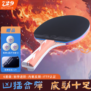 十大名牌729乒乓球拍五星六星一对单拍横拍专业级弧圈快攻型正品
