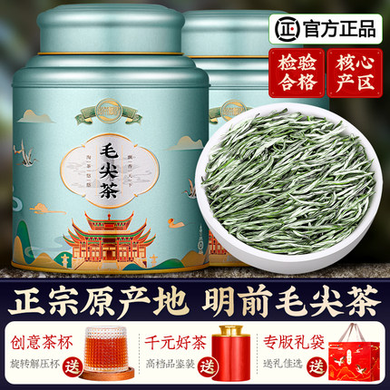 2023新茶毛尖茶叶信阳原产绿茶明前特级嫩芽浓香型散装毛尖茶500g